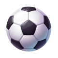 World Championship